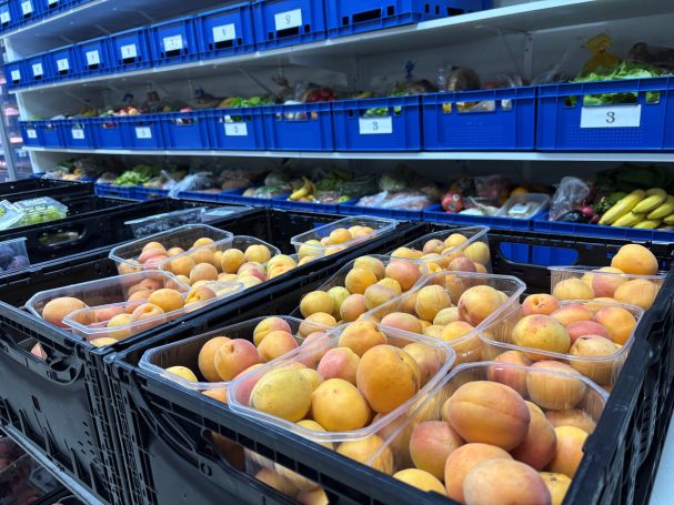 Lebensmittelkiste mit Obst